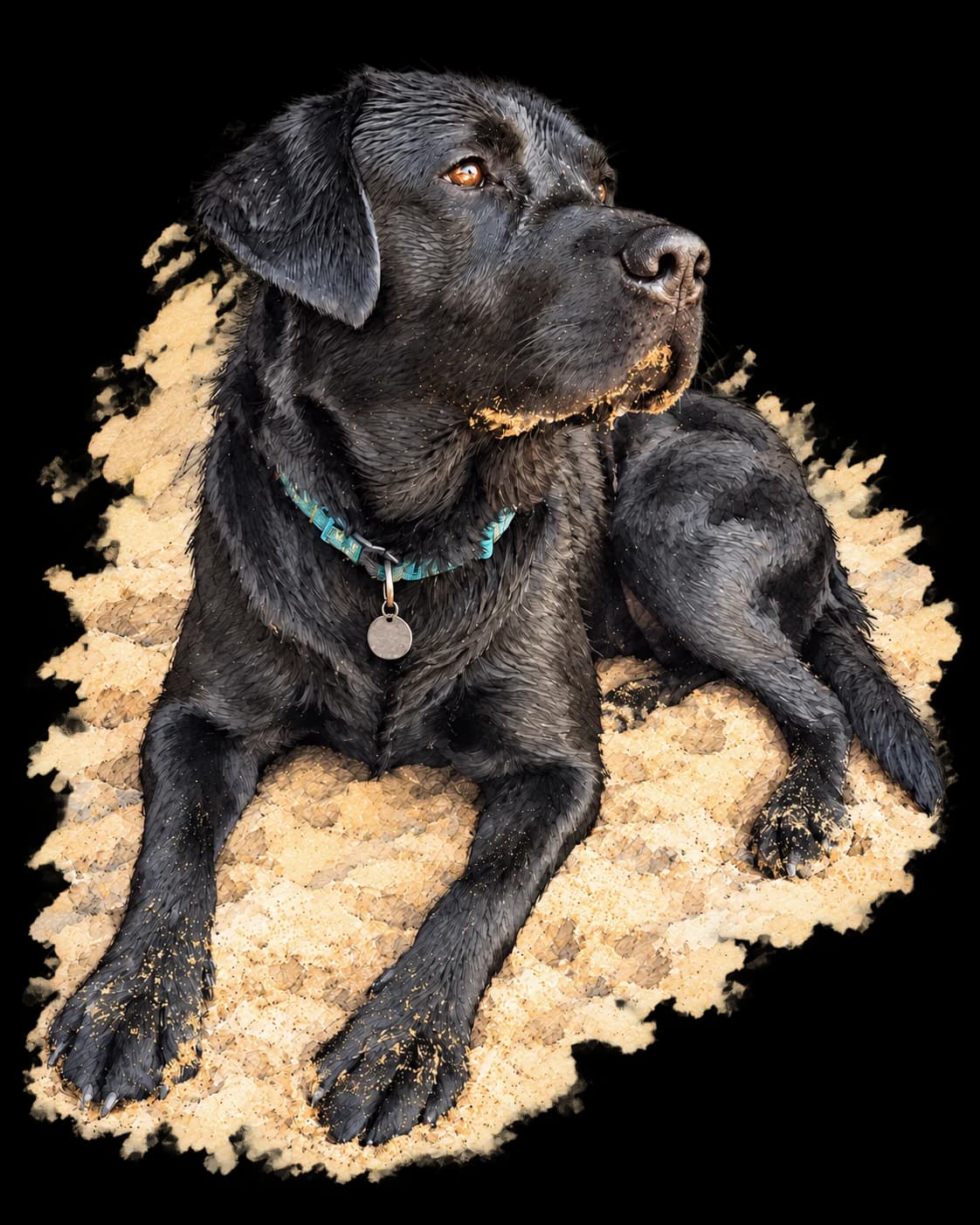 Pen and watercolour sketch of George, Andrew’s black Labrador, relaxing on the beach