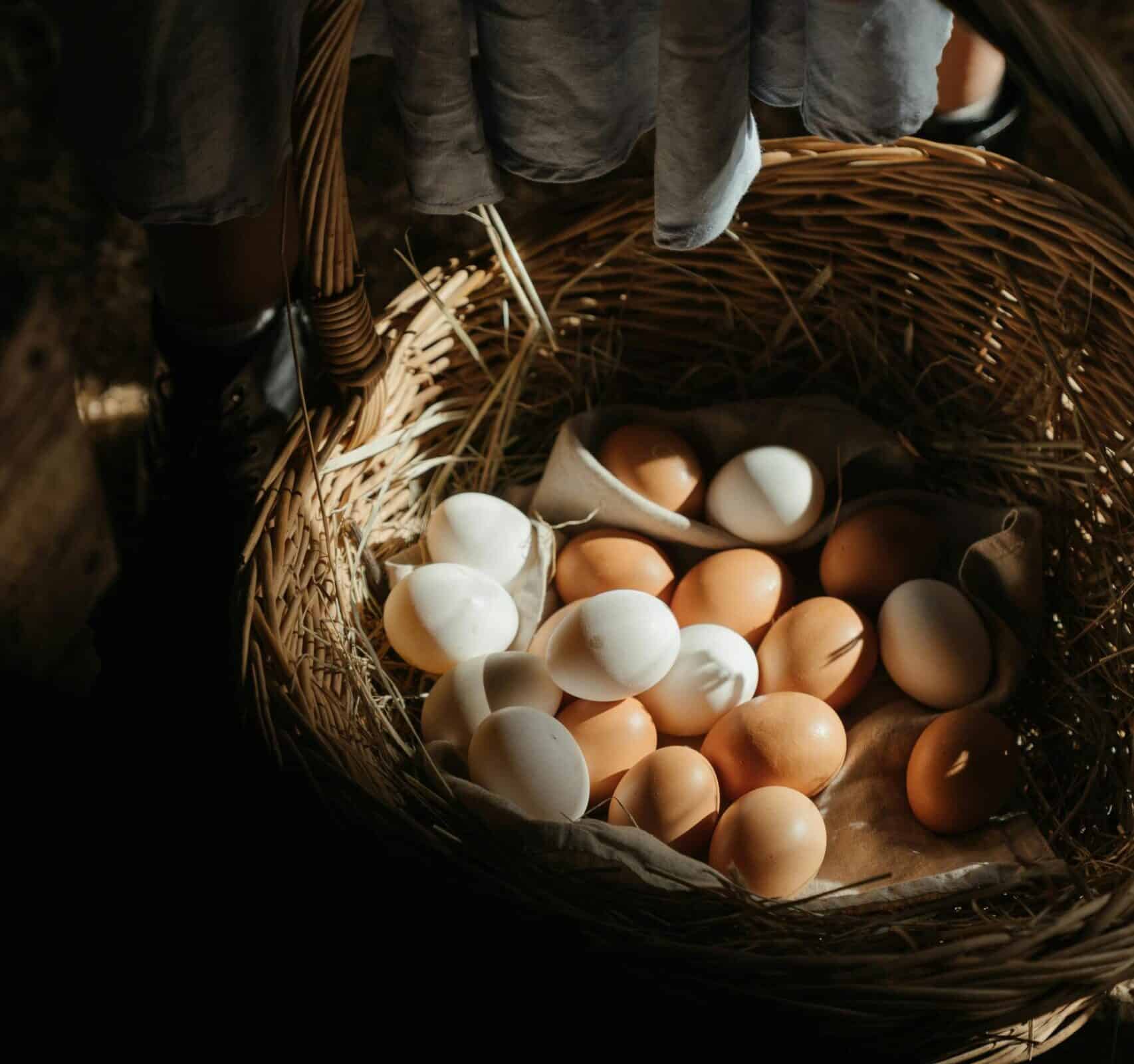 Don’t Put All Your Eggs in One Basket: A Worcester IFA’s Guide to True Investment Diversification