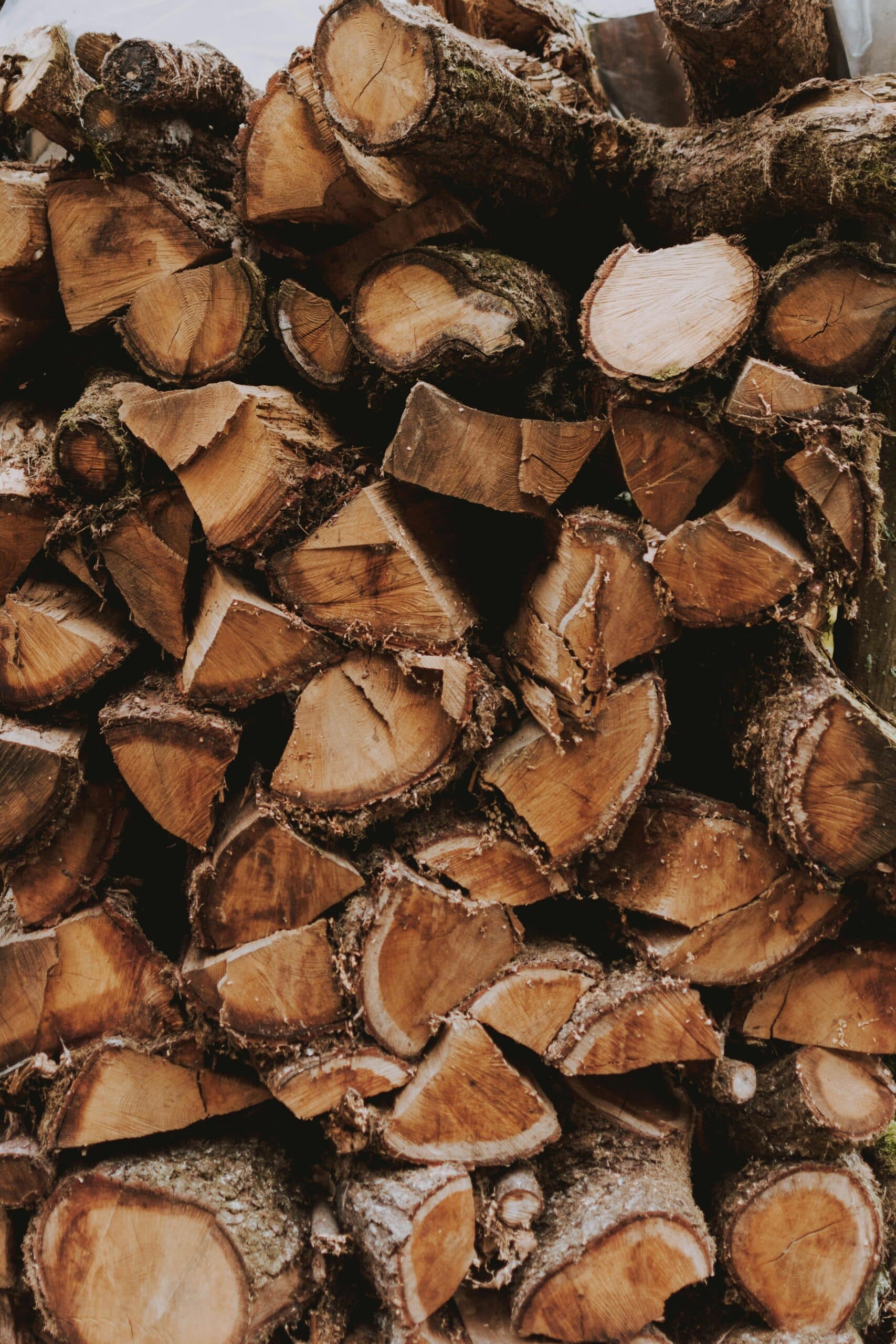 A Proactive Guide to Managing Cash Flow from October to January