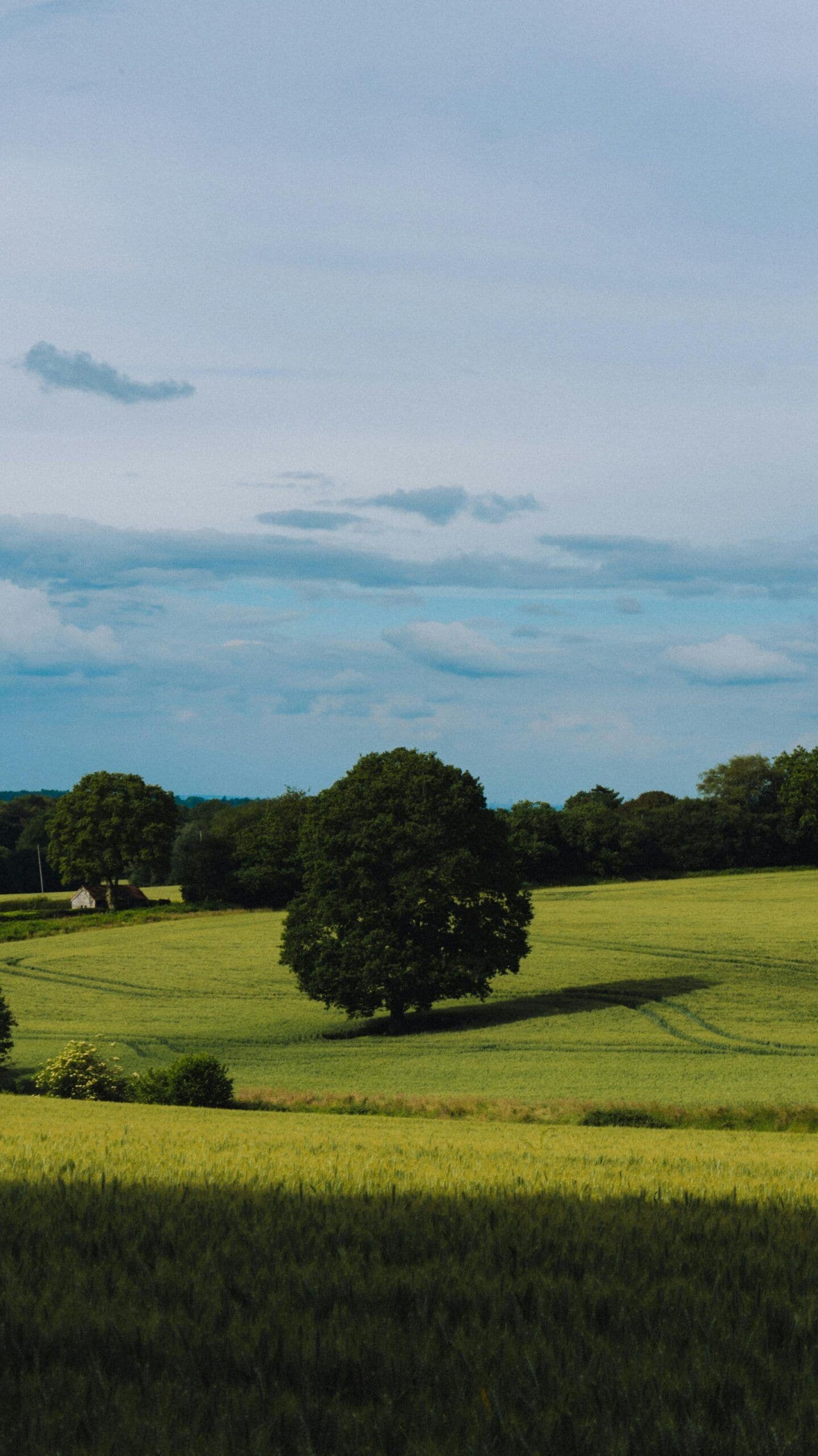 How Andrew Rankin Financial Planning Invests Business Cash