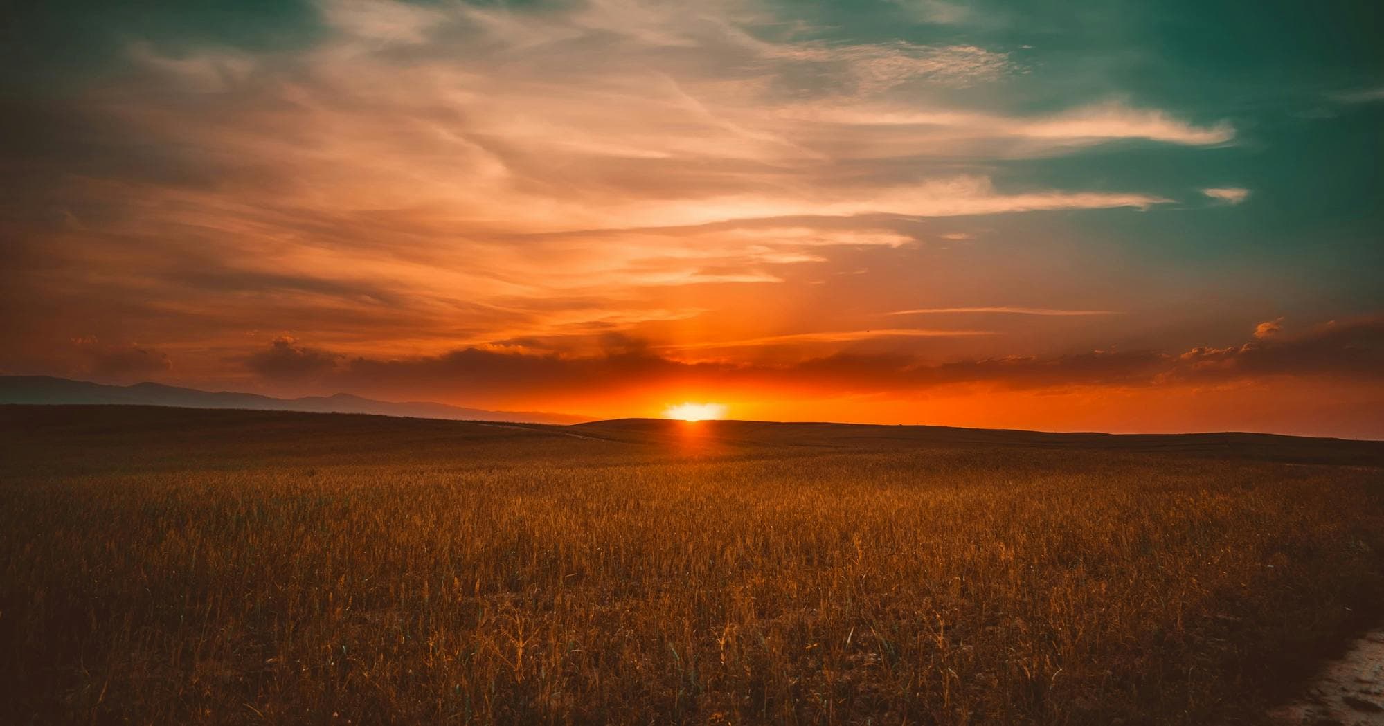 Summer’s Over, Back to Business: Your 4-Month Financial Checklist to End the Year Strong