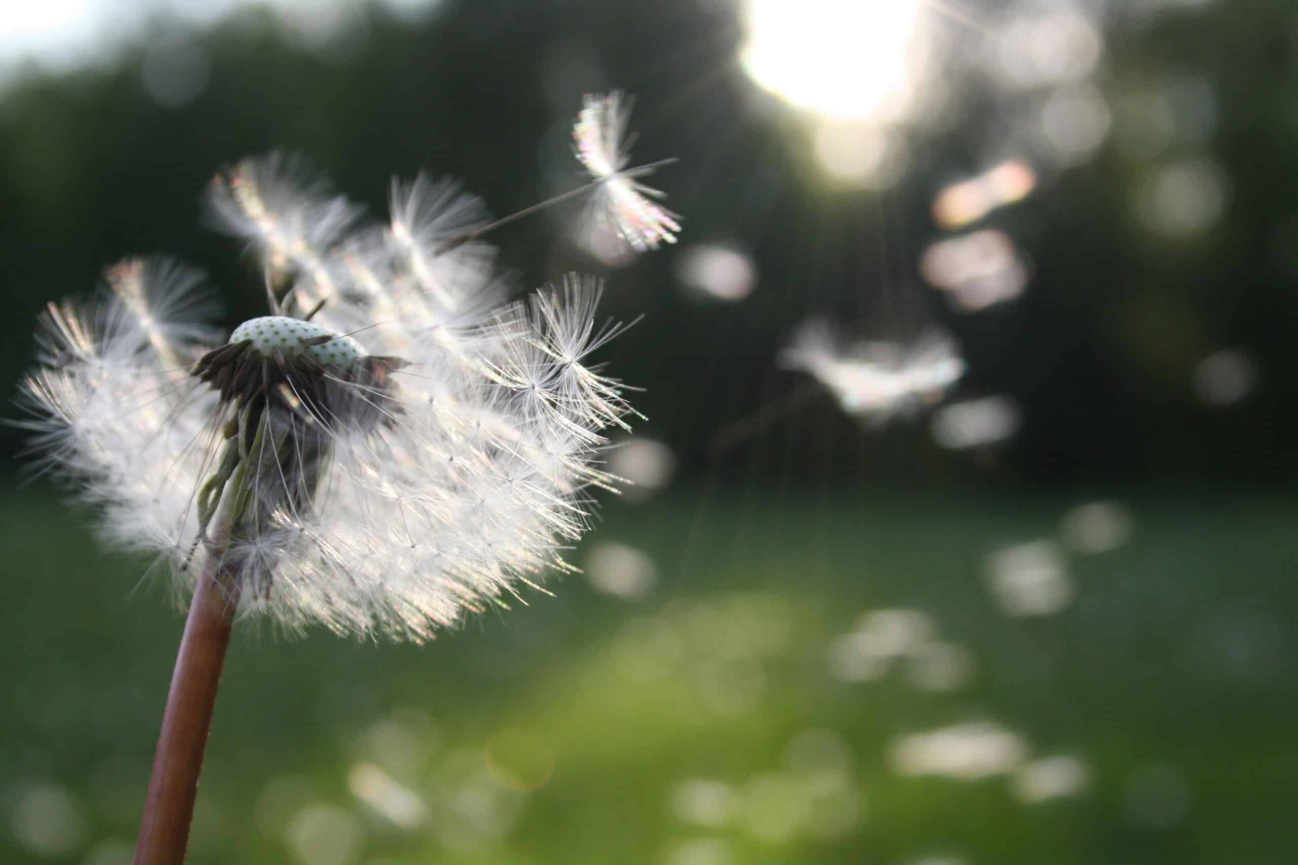 To achieve financial freedom, you must first define it. Here’s how: