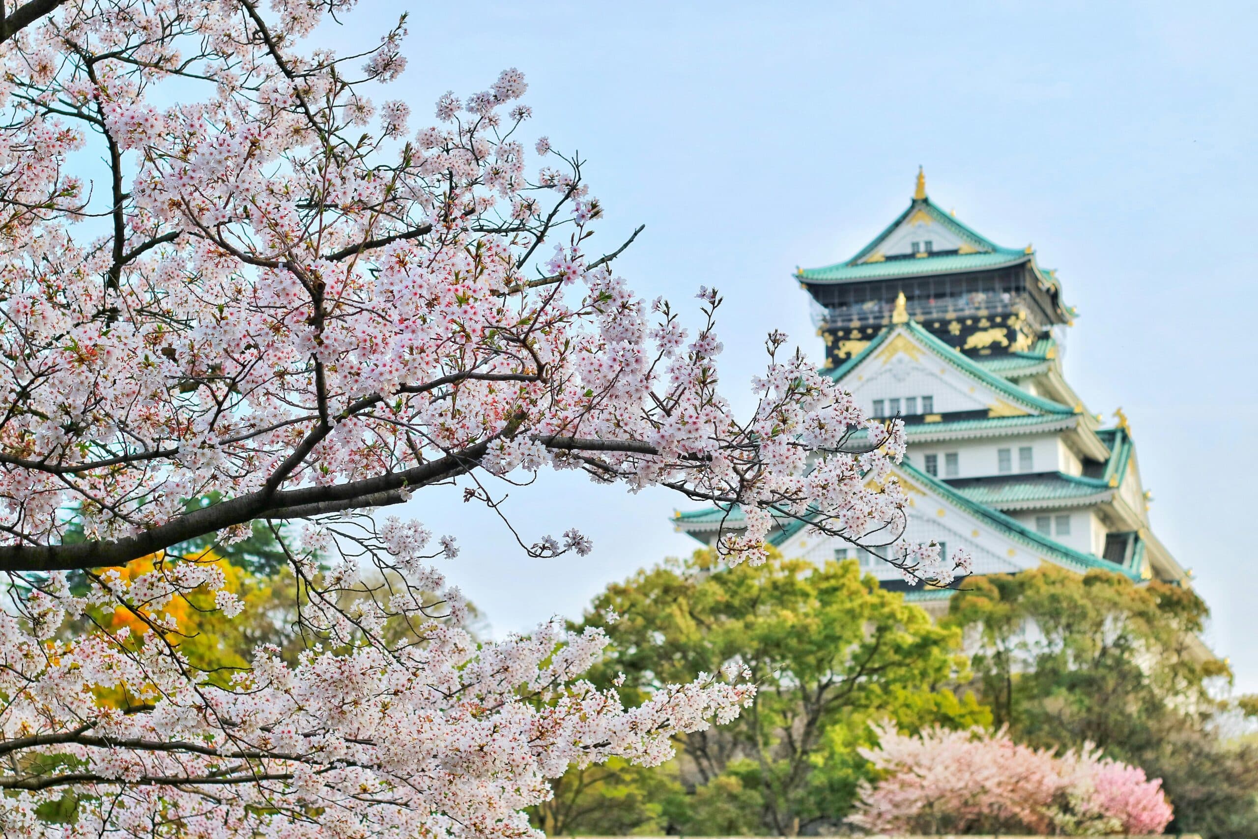 The Japanese Money Budgeting Trick That’s Changing How People Save